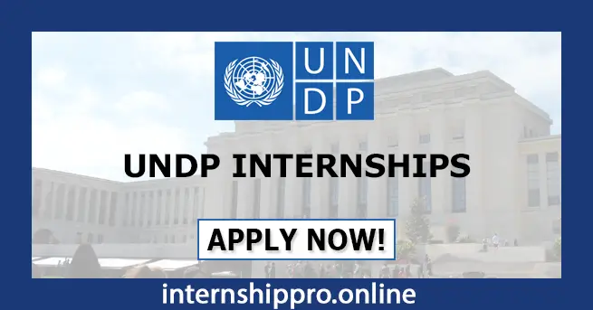 UNDP Internship