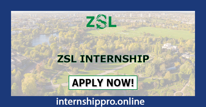 ZSL Internship