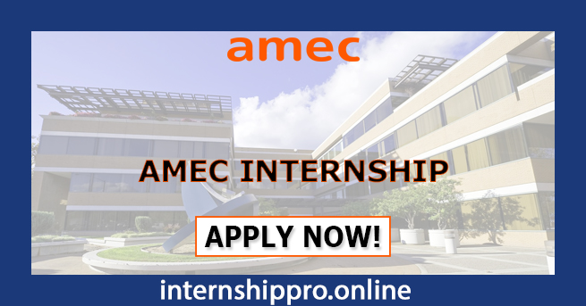 AMEC Internship