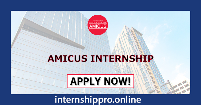 Amicus Internship