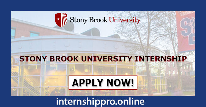 Stony Brook University Internship