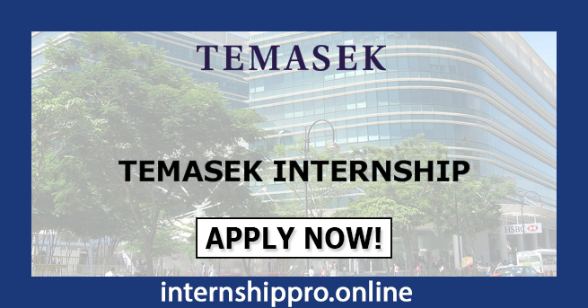 Temasek Internship